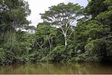 新报告称7月PS二档三档会员玩家活跃度大幅下降